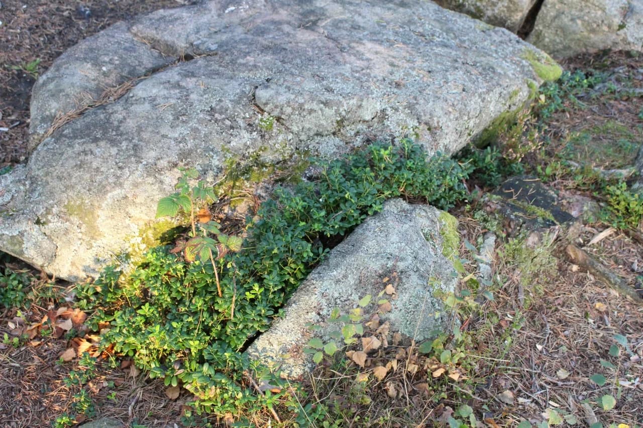 Brunt vatten - Forskningsprojekt - Bild 7